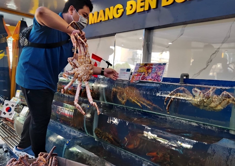 Giá cả hằng ngày 21-6: Khách du lịch hè tăng bằng trước dịch; Thêm chương trình giảm giá tới 100% - Ảnh 1. Giá cả hằng ngày 21-6: Khách du lịch hè tăng bằng trước dịch; Thêm chương trình giảm giá tới 100% - Ảnh 1.