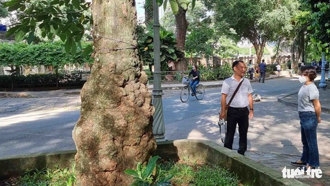 125 năm cao su cho vàng ở Việt Nam - Kỳ 2: Ở đất tổ cao su Thảo cầm viên - Ảnh 1. 125 năm cao su cho vàng ở Việt Nam - Kỳ 2: Ở đất tổ cao su Thảo cầm viên - Ảnh 1.