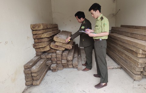 Sau khi Tuổi Trẻ Online phản ánh, khởi tố vụ phá rừng ở vùng cao Thanh Hóa - Ảnh 3. Sau khi Tuổi Trẻ Online phản ánh, khởi tố vụ phá rừng ở vùng cao Thanh Hóa - Ảnh 3.