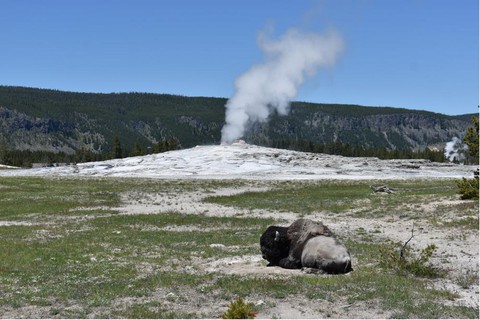 Du khách nườm nượp trở lại Vườn quốc gia Yellowstone sau trận lũ kinh hoàng - Ảnh 3. Du khách nườm nượp trở lại Vườn quốc gia Yellowstone sau trận lũ kinh hoàng - Ảnh 3.