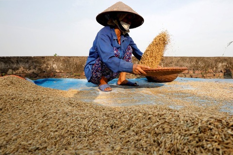 Trung Quốc xôn xao về mức tăng xuất khẩu của Việt Nam - Ảnh 2. Trung Quốc xôn xao về mức tăng xuất khẩu của Việt Nam - Ảnh 2.