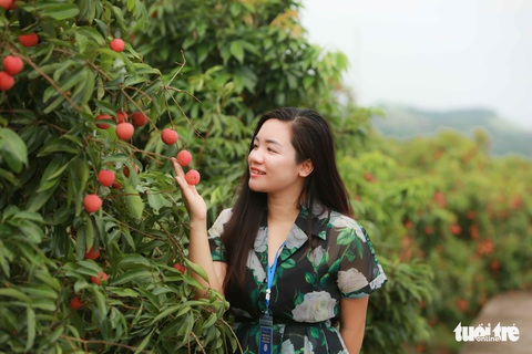 Hè về Bắc Giang: Ăn vải Lục Ngạn, cắm trại Đồng Cao, ngao du Tây Yên Tử - Ảnh 1. Hè về Bắc Giang: Ăn vải Lục Ngạn, cắm trại Đồng Cao, ngao du Tây Yên Tử - Ảnh 1.
