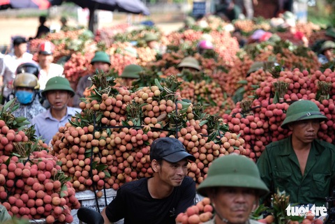 Hè về Bắc Giang: Ăn vải Lục Ngạn, cắm trại Đồng Cao, ngao du Tây Yên Tử - Ảnh 2. Hè về Bắc Giang: Ăn vải Lục Ngạn, cắm trại Đồng Cao, ngao du Tây Yên Tử - Ảnh 2.