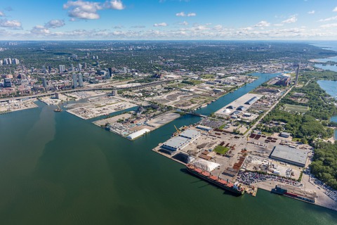 Mỹ - Canada - ong bắp cày Sirex - cảng Toronto Mỹ - Canada - ong bắp cày Sirex - cảng Toronto