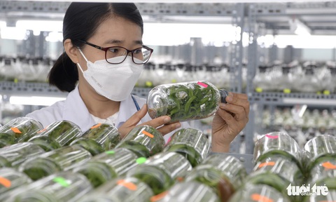 Không quản lý nhà nước đối với vốn xã hội hóa để phát triển sản xuất giống - Ảnh 1. Không quản lý nhà nước đối với vốn xã hội hóa để phát triển sản xuất giống - Ảnh 1.