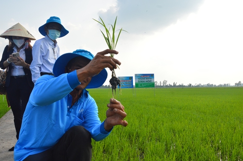 Hỗ trợ nông nghiệp: đủ thứ vướng, gần 4 năm vẫn loay hoay chưa xong - Ảnh 1. Hỗ trợ nông nghiệp: đủ thứ vướng, gần 4 năm vẫn loay hoay chưa xong - Ảnh 1.