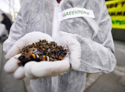 Ủy ban châu Âu cấm thuốc trừ sâu neonicotinoids trong sản phẩm nhập khẩu - Ảnh 1. Ủy ban châu Âu cấm thuốc trừ sâu neonicotinoids trong sản phẩm nhập khẩu - Ảnh 1.
