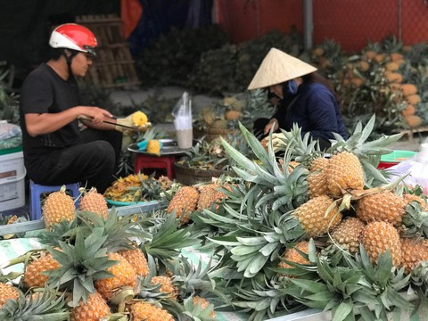 Giá cả hằng ngày 28-6: Giá cám tăng lần thứ 16; Giá gà cao kỷ lục; Nhiều nông sản giảm giá - Ảnh 3. Giá cả hằng ngày 28-6: Giá cám tăng lần thứ 16; Giá gà cao kỷ lục; Nhiều nông sản giảm giá - Ảnh 3.