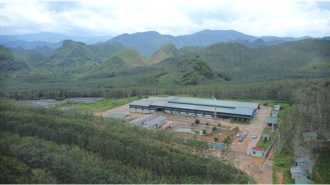 125 năm cao su cho vàng ở Việt Nam - Kỳ 10: Đưa vàng trắng lên vùng núi địa đầu Tổ quốc - Ảnh 2. 125 năm cao su cho vàng ở Việt Nam - Kỳ 10: Đưa vàng trắng lên vùng núi địa đầu Tổ quốc - Ảnh 2.
