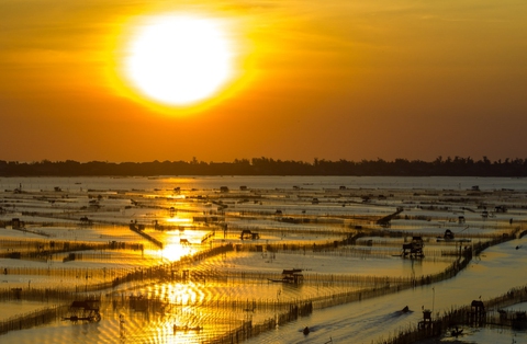Săn bình minh đẹp mê hoặc trên đầm Chuồn - Ảnh 3. Săn bình minh đẹp mê hoặc trên đầm Chuồn - Ảnh 3.