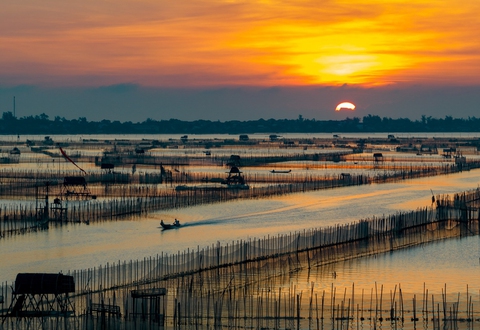 Săn bình minh đẹp mê hoặc trên đầm Chuồn - Ảnh 1. Săn bình minh đẹp mê hoặc trên đầm Chuồn - Ảnh 1.