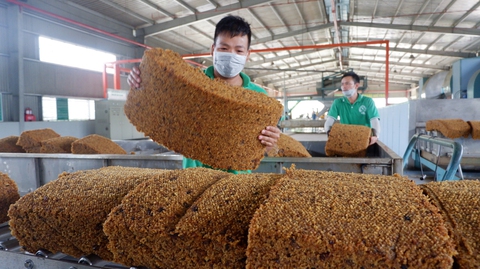 125 năm cao su cho vàng ở Việt Nam - Kỳ 10: Đưa vàng trắng lên vùng núi địa đầu Tổ quốc - Ảnh 4. 125 năm cao su cho vàng ở Việt Nam - Kỳ 10: Đưa vàng trắng lên vùng núi địa đầu Tổ quốc - Ảnh 4.