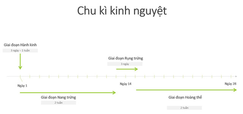 4 điều cần biết cho bạn gái khi tập thể dục - Ảnh 1. 4 điều cần biết cho bạn gái khi tập thể dục - Ảnh 1.