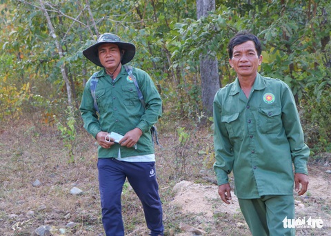 Vì sao tiền hỗ trợ bảo vệ rừng chưa đến tay người dân? - Ảnh 1. Vì sao tiền hỗ trợ bảo vệ rừng chưa đến tay người dân? - Ảnh 1.