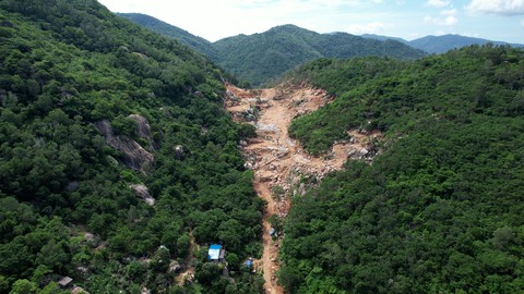 Truy tố người phá rừng phòng hộ trên núi Thị Vải - Ảnh 2. Truy tố người phá rừng phòng hộ trên núi Thị Vải - Ảnh 2.