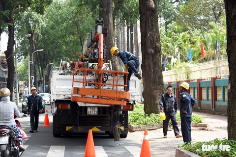 TP.HCM đã có máy siêu âm cây xanh, đo được dòng nhựa từ rễ lên cành - Ảnh 3. TP.HCM đã có máy siêu âm cây xanh, đo được dòng nhựa từ rễ lên cành - Ảnh 3.