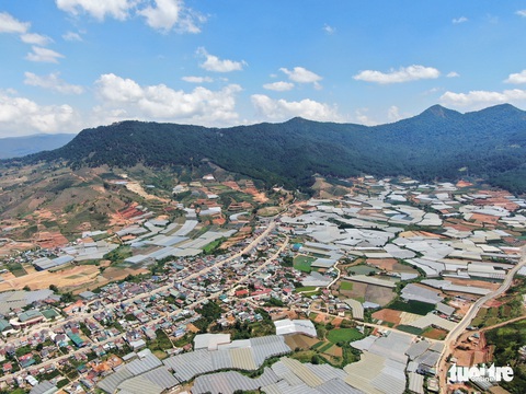 Liên minh châu Âu khởi động dự án 5 triệu euro bảo vệ rừng nam Tây Nguyên - Ảnh 1. Liên minh châu Âu khởi động dự án 5 triệu euro bảo vệ rừng nam Tây Nguyên - Ảnh 1.
