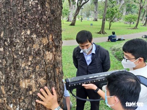 TP.HCM đã có máy siêu âm cây xanh, đo được dòng nhựa từ rễ lên cành - Ảnh 1. TP.HCM đã có máy siêu âm cây xanh, đo được dòng nhựa từ rễ lên cành - Ảnh 1.