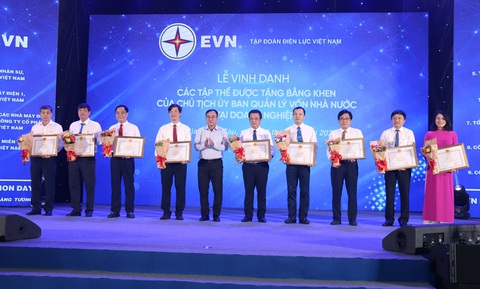 EVNGENCO3: Đào tạo phát triển nguồn nhân lực đáp ứng làm chủ và hội nhập - Ảnh 3. EVNGENCO3: Đào tạo phát triển nguồn nhân lực đáp ứng làm chủ và hội nhập - Ảnh 3.