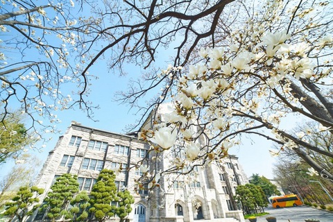 Tour Hàn Quốc 5 ngày 4 đêm trọn gói từ 13,4 triệu đồng - Ảnh 5. Tour Hàn Quốc 5 ngày 4 đêm trọn gói từ 13,4 triệu đồng - Ảnh 5.