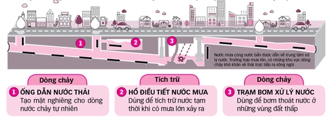 Chống ngập và tận dụng nước mưa: Từ Tokyo nghĩ về TP.HCM - Ảnh 3. Chống ngập và tận dụng nước mưa: Từ Tokyo nghĩ về TP.HCM - Ảnh 3.