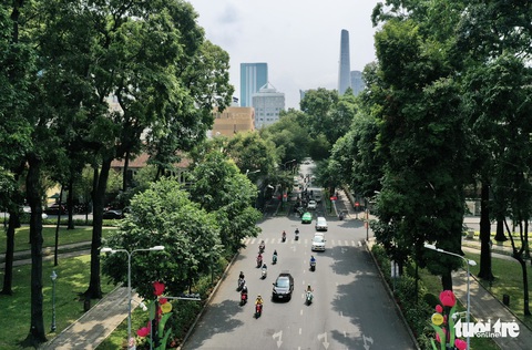 Cây xanh ngộp thở với đô thị hóa - Ảnh 1. Cây xanh ngộp thở với đô thị hóa - Ảnh 1.