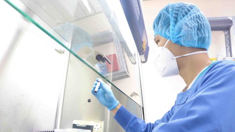 Sốt rét có nguy cơ lây lan tại Việt Nam? - Ảnh 1. Sốt rét có nguy cơ lây lan tại Việt Nam? - Ảnh 1.