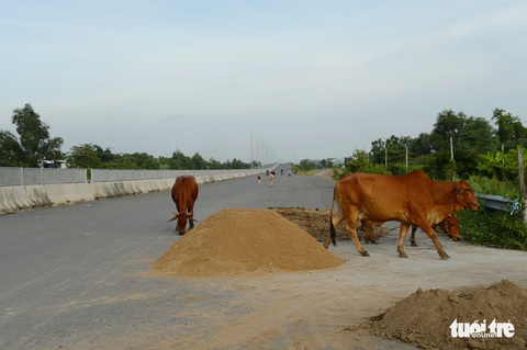 Vành đai 3 chờ cao tốc Bến Lức - Long Thành khép kín - Ảnh 7. Vành đai 3 chờ cao tốc Bến Lức - Long Thành khép kín - Ảnh 7.