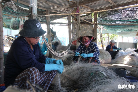 Ngư dân Hòn Sơn trúng mùa lưới ghẹ - Ảnh 4. Ngư dân Hòn Sơn trúng mùa lưới ghẹ - Ảnh 4.