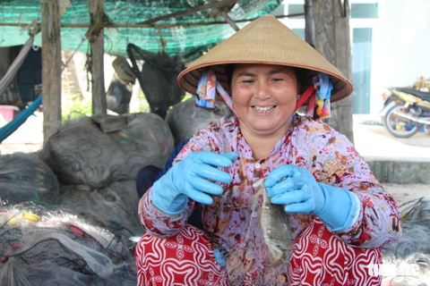 Ngư dân Hòn Sơn trúng mùa lưới ghẹ - Ảnh 1. Ngư dân Hòn Sơn trúng mùa lưới ghẹ - Ảnh 1.