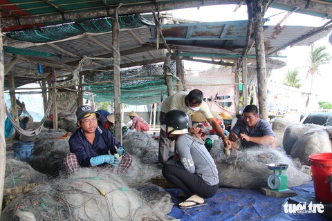 Ngư dân Hòn Sơn trúng mùa lưới ghẹ - Ảnh 3. Ngư dân Hòn Sơn trúng mùa lưới ghẹ - Ảnh 3.