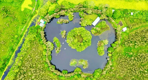 Về Rạch Giá đi rừng, chơi phố biển - Ảnh 2. Về Rạch Giá đi rừng, chơi phố biển - Ảnh 2.
