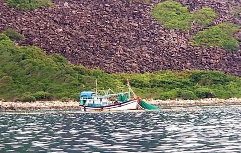 Về hình ảnh khu bảo tồn biển Hòn Mun xác xơ, ban quản lý nói gì? - Ảnh 3. Về hình ảnh khu bảo tồn biển Hòn Mun xác xơ, ban quản lý nói gì? - Ảnh 3.