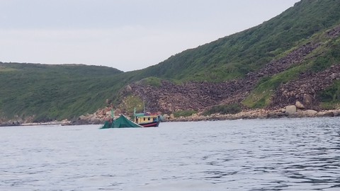 Về hình ảnh khu bảo tồn biển Hòn Mun xác xơ, ban quản lý nói gì? - Ảnh 5. Về hình ảnh khu bảo tồn biển Hòn Mun xác xơ, ban quản lý nói gì? - Ảnh 5.