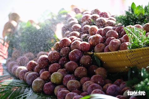 Giá cả hằng ngày 9-6: Giá ớt tăng 15.000 đồng/kg; Rau củ Đà Lạt giá vẫn còn cao - Ảnh 1. Giá cả hằng ngày 9-6: Giá ớt tăng 15.000 đồng/kg; Rau củ Đà Lạt giá vẫn còn cao - Ảnh 1.