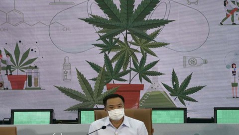 Thái Lan cho phép dân trồng cần sa tại nhà, phóng thích tù nhân bị bắt vì hút cần sa - Ảnh 1. Thái Lan cho phép dân trồng cần sa tại nhà, phóng thích tù nhân bị bắt vì hút cần sa - Ảnh 1.