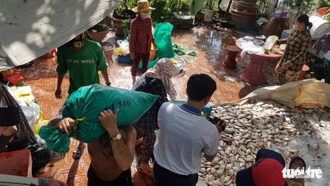 Hàng trăm tấn cá nuôi làng bè Châu Đốc chết bất thường: Nguồn nước bị ô nhiễm sinh học - Ảnh 1. Hàng trăm tấn cá nuôi làng bè Châu Đốc chết bất thường: Nguồn nước bị ô nhiễm sinh học - Ảnh 1.