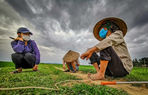 Nỏ ai biết vì sao cánh đồng làng tôi lại bị trời đánh nhiều thế mô - Ảnh 1. Nỏ ai biết vì sao cánh đồng làng tôi lại bị trời đánh nhiều thế mô - Ảnh 1.