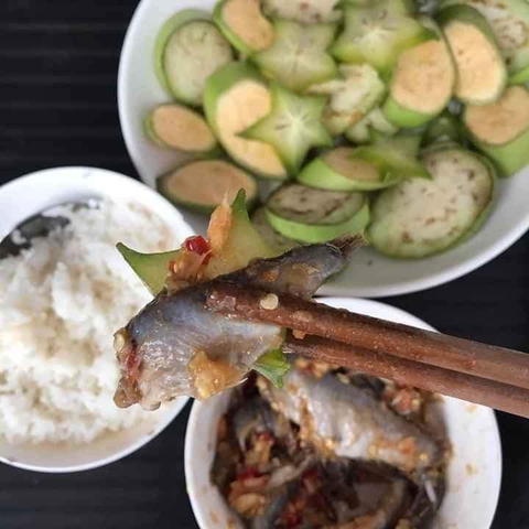 Mắm đồng, mắm sống, mắm chưng: Nghe môi mằn mặn rưng rưng quê nhà - Ảnh 1. Mắm đồng, mắm sống, mắm chưng: Nghe môi mằn mặn rưng rưng quê nhà - Ảnh 1.