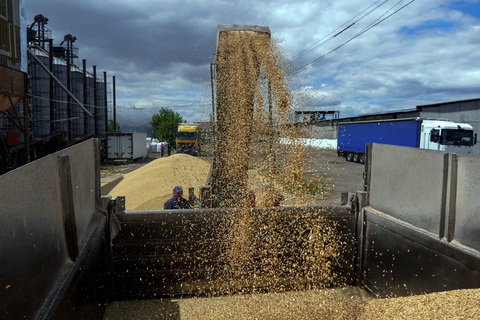Nga, Ukraine gặp tại Thổ Nhĩ Kỳ để tìm cách khơi thông xuất khẩu ngũ cốc - Ảnh 1. Nga, Ukraine gặp tại Thổ Nhĩ Kỳ để tìm cách khơi thông xuất khẩu ngũ cốc - Ảnh 1.