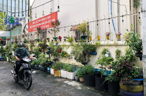 Vẽ tranh, trồng cây xanh ngăn xả rác - Ảnh 1. Vẽ tranh, trồng cây xanh ngăn xả rác - Ảnh 1.
