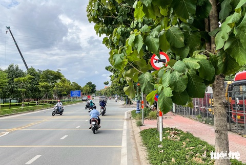 Nhiều biển báo giao thông tại TP.HCM ‘núp lùm’ gây khó tài xế - Ảnh 1. Nhiều biển báo giao thông tại TP.HCM ‘núp lùm’ gây khó tài xế - Ảnh 1.
