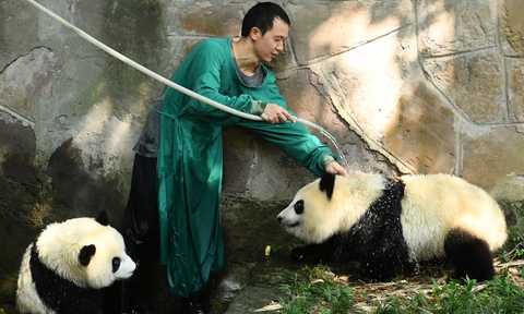 Nóng như thiêu đốt ở Trung Quốc, 84 thành phố phát cảnh báo cao nhất - Ảnh 6. Nóng như thiêu đốt ở Trung Quốc, 84 thành phố phát cảnh báo cao nhất - Ảnh 6.