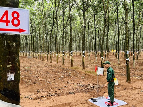 Thi Bàn tay vàng 2022 giữa rừng cao su bạt ngàn - Ảnh 1. Thi Bàn tay vàng 2022 giữa rừng cao su bạt ngàn - Ảnh 1.