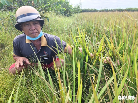 Kho xưởng ở Bình Chánh bị cháy sau 4 ngày vẫn còn nghi ngút khói - Ảnh 5. Kho xưởng ở Bình Chánh bị cháy sau 4 ngày vẫn còn nghi ngút khói - Ảnh 5.