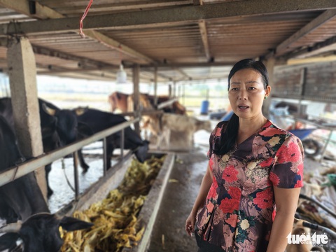 Kho xưởng ở Bình Chánh bị cháy sau 4 ngày vẫn còn nghi ngút khói - Ảnh 4. Kho xưởng ở Bình Chánh bị cháy sau 4 ngày vẫn còn nghi ngút khói - Ảnh 4.