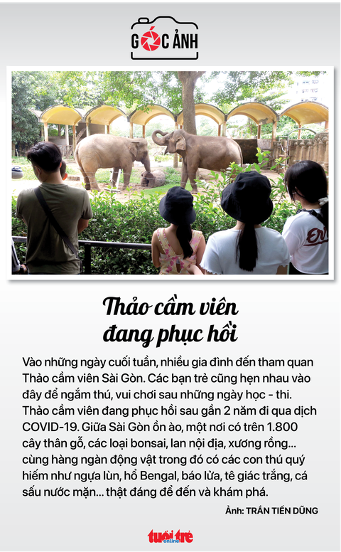 Tin sáng 17-7: Siết nhà 2 giá, thu thuế mua bán bất động sản tăng 68,6%; Xuất lốp xe thu hơn tỉ đô - Ảnh 8. Tin sáng 17-7: Siết nhà 2 giá, thu thuế mua bán bất động sản tăng 68,6%; Xuất lốp xe thu hơn tỉ đô - Ảnh 8.