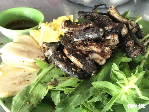 Trời mưa rả rích bắt con lịch nhúng lẩu, nướng, xào ngon hết bài - Ảnh 4. Trời mưa rả rích bắt con lịch nhúng lẩu, nướng, xào ngon hết bài - Ảnh 4.