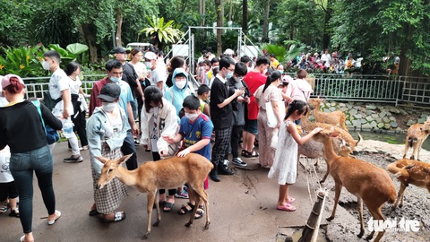 Khách ùn ùn kéo đến khu vui chơi, nhiều người mệt mỏi vì quá đông - Ảnh 6. Khách ùn ùn kéo đến khu vui chơi, nhiều người mệt mỏi vì quá đông - Ảnh 6.