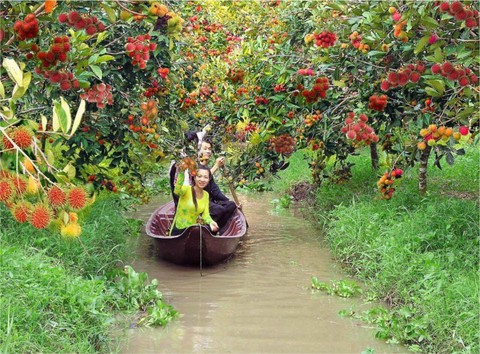 Tin tức sáng 16-12: Tết dương lịch thêm tàu đi Phan Thiết; Kêu gọi dân mang rác lên... phường - Ảnh 3. Tin tức sáng 16-12: Tết dương lịch thêm tàu đi Phan Thiết; Kêu gọi dân mang rác lên... phường - Ảnh 3.